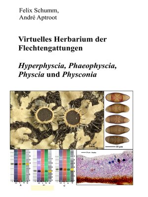 cover image of Virtuelles Herbarium der Flechtgattungen